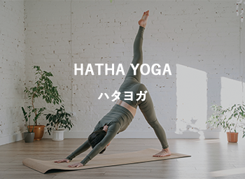 ハタヨガ画像