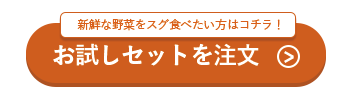 お試しセットを注文ボタン