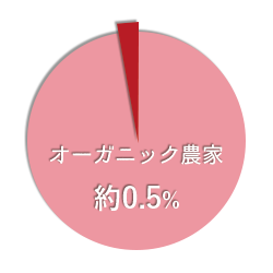 円グラフ